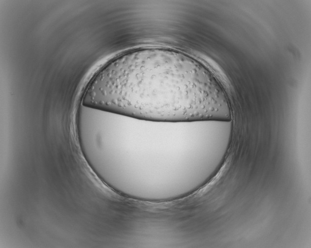 X0000113061196200908280940