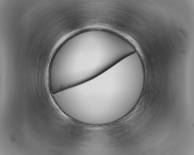 X0000113061199200908280940