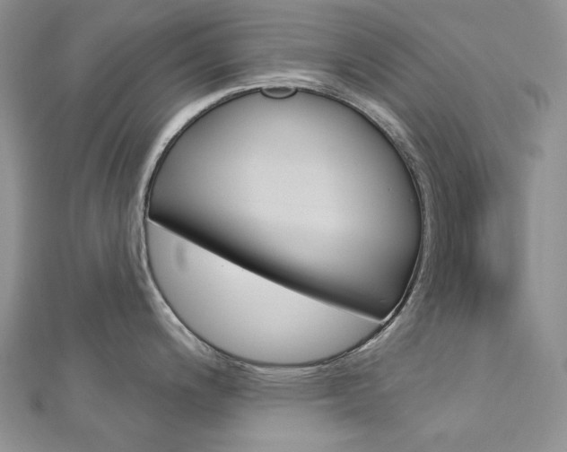 X0000113061200200908280940