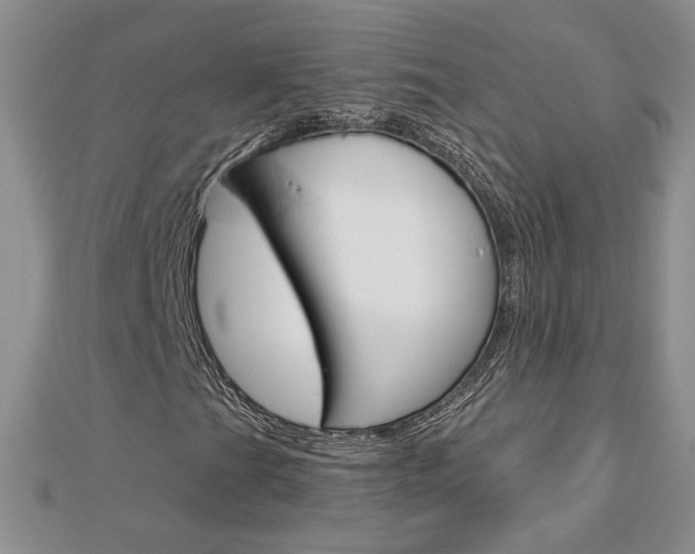 X0000113061201200908280939