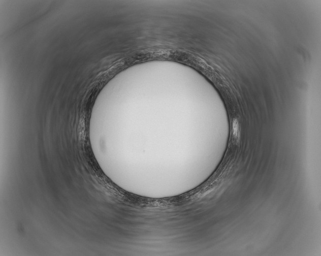 X0000113061203200908280940