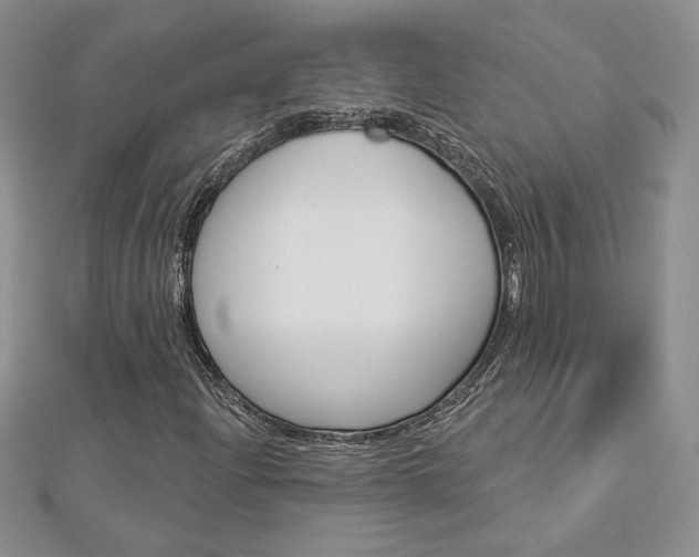 X0000113061204200908280940