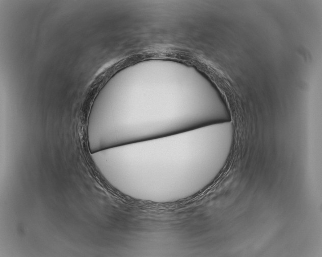 X0000113061206200908280940