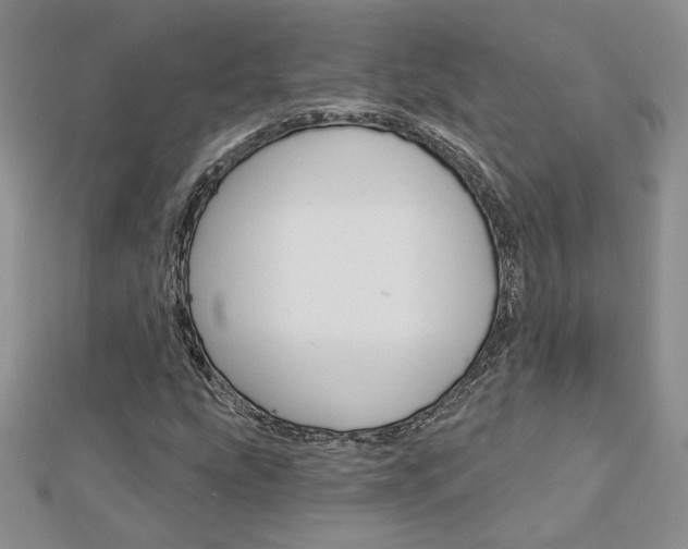 X0000113061207200908280940