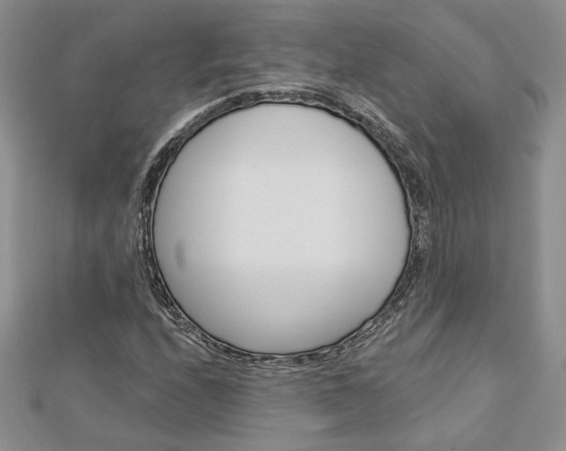 X0000113061208200908280940