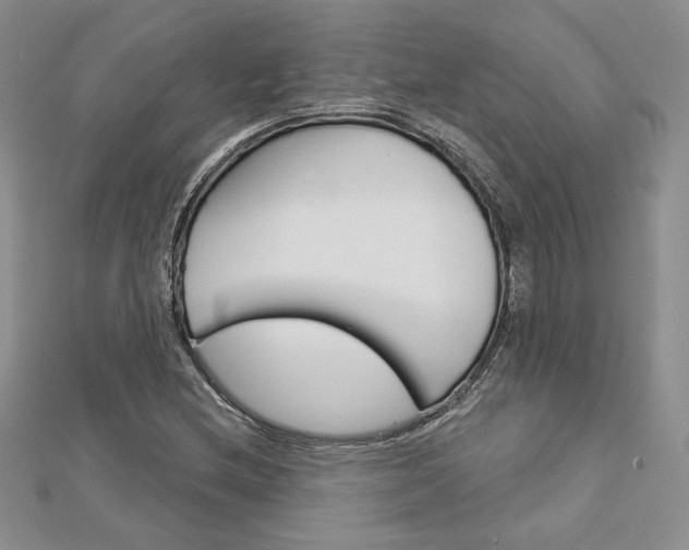 X0000113061212200908280940