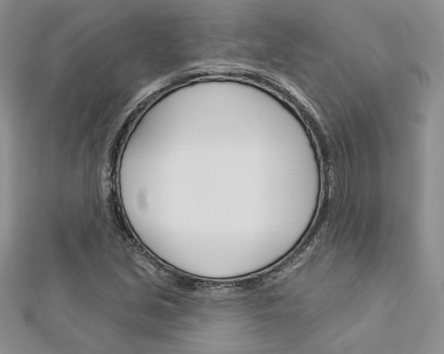 X0000113061213200908280940