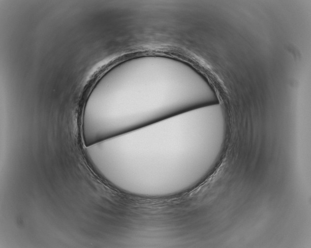 X0000113061214200908280940