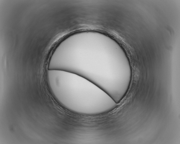 X0000113061215200908280940