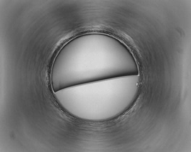 X0000113061218200908280940
