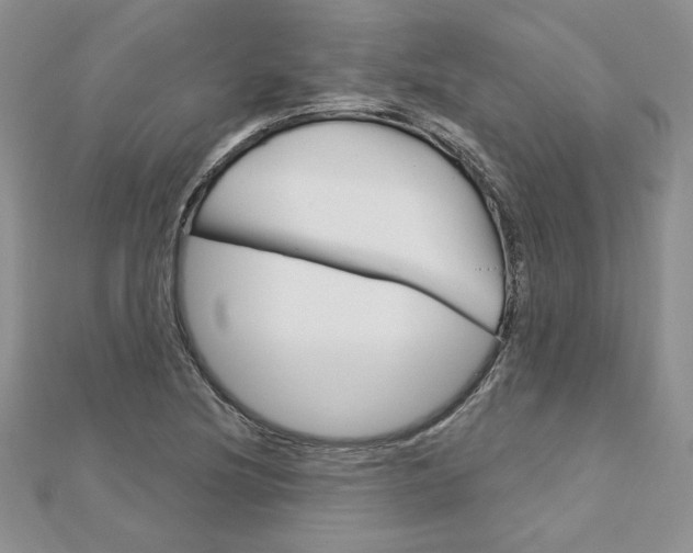 X0000113061220200908280940