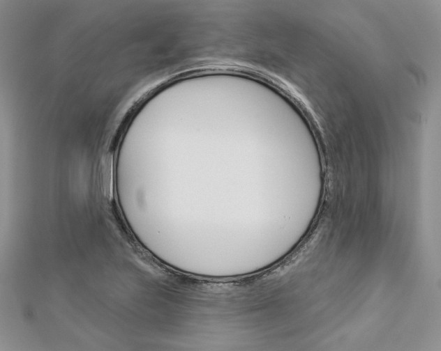 X0000113061223200908280940