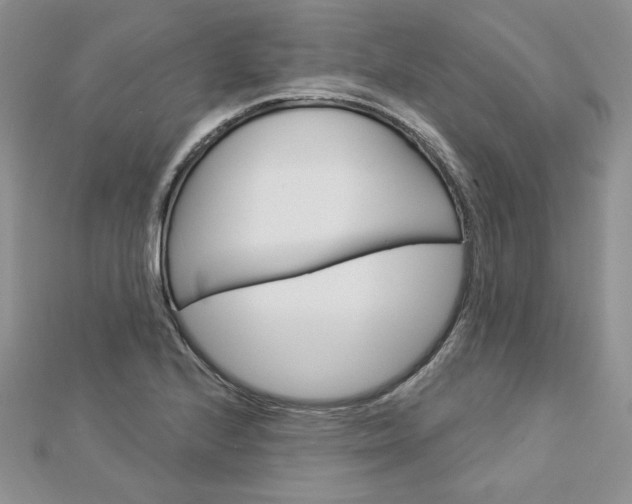 X0000113061224200908280940