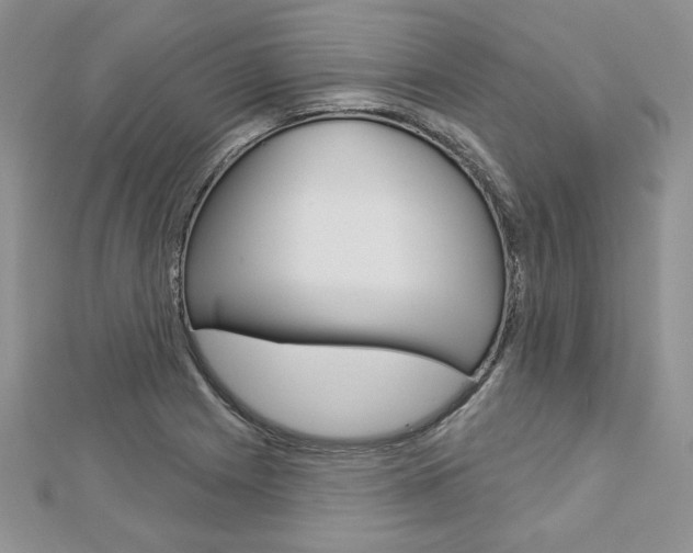 X0000113061225200908280940