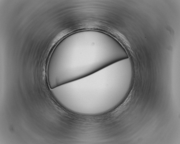 X0000113061226200908280940