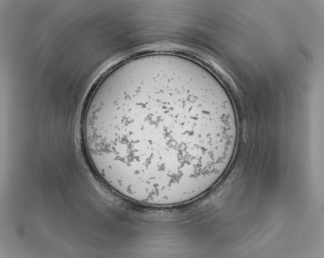 X0000113061229200908280940