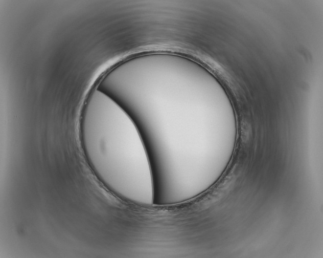 X0000113061230200908280940