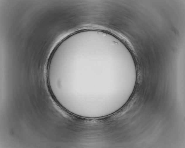 X0000113061231200908280940