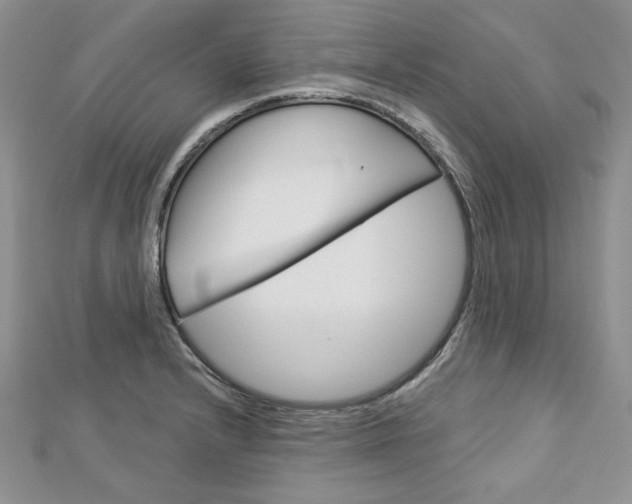 X0000113061232200908280940