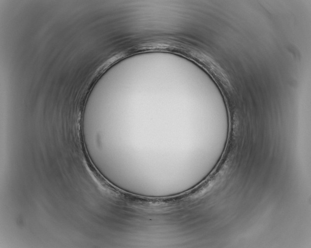 X0000113061233200908280940