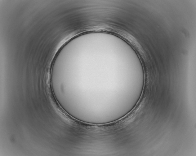X0000113061234200908280940