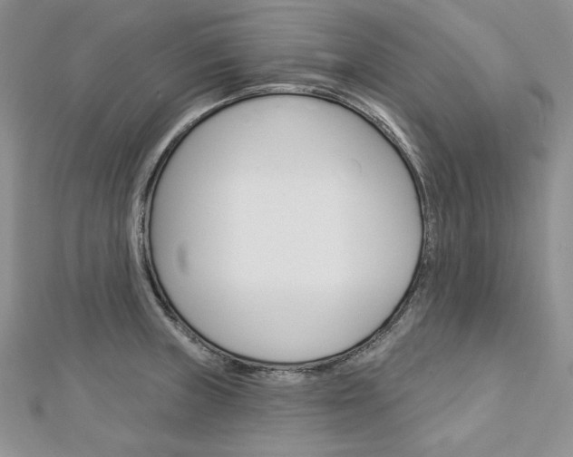 X0000113061235200908280940