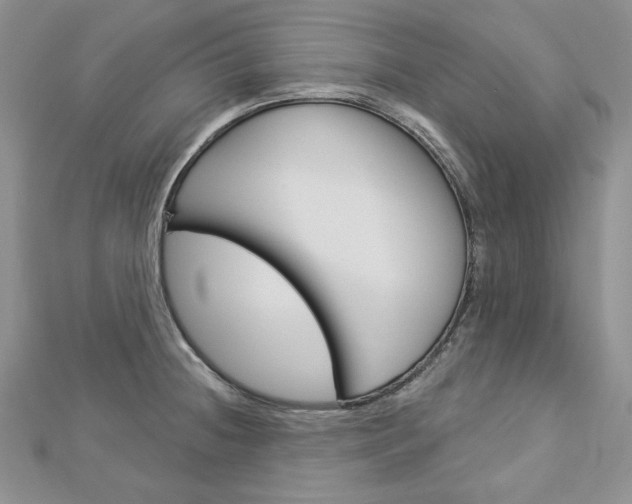 X0000113061236200908280940