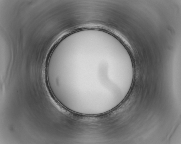 X0000113061237200908280940