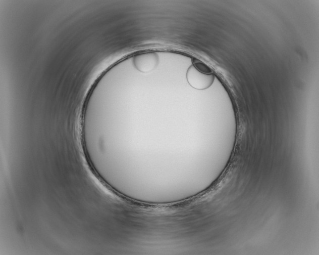 X0000113061239200908280940