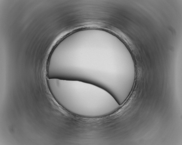 X0000113061240200908280940