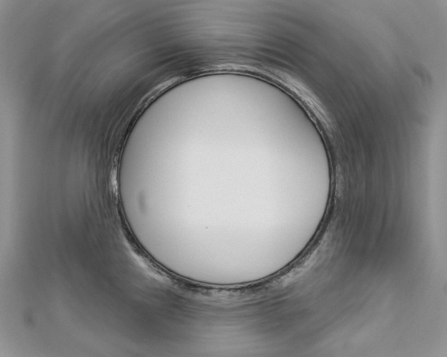 X0000113061241200908280940