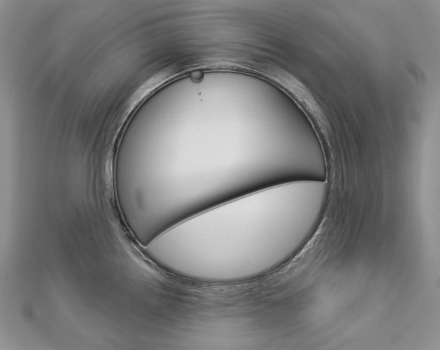 X0000113061242200908280940