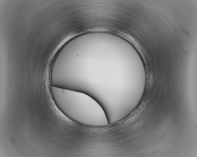 X0000113061243200908280940