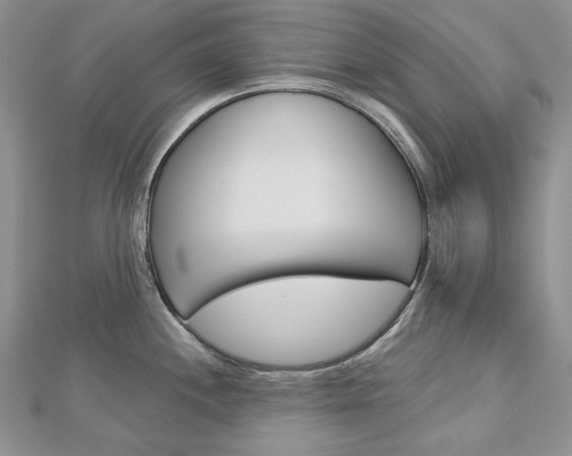 X0000113061244200908280940