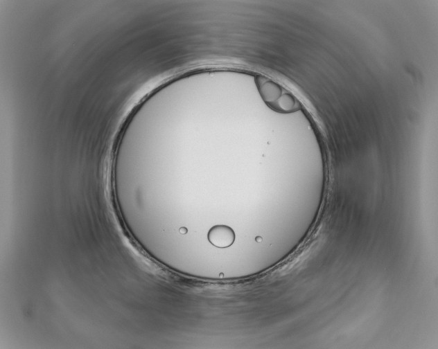 X0000113061245200908280940