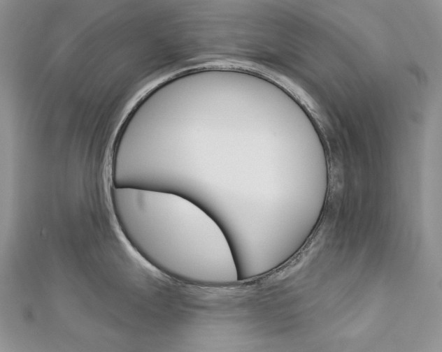 X0000113061247200908280940