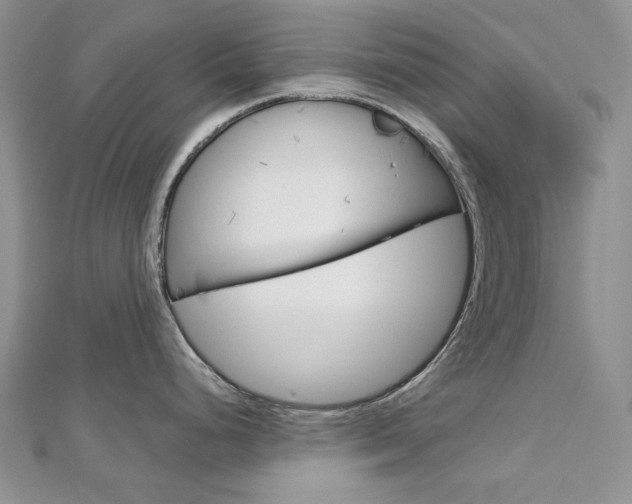 X0000113061248200908280940