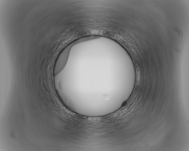 X0000113061249200908280939