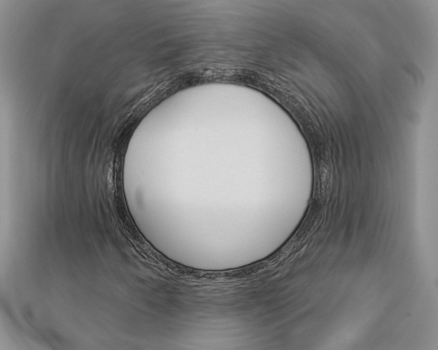 X0000113061250200908280939