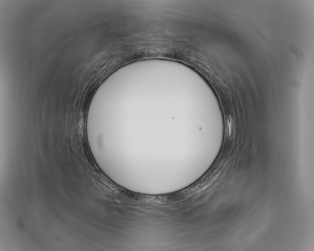 X0000113061251200908280939