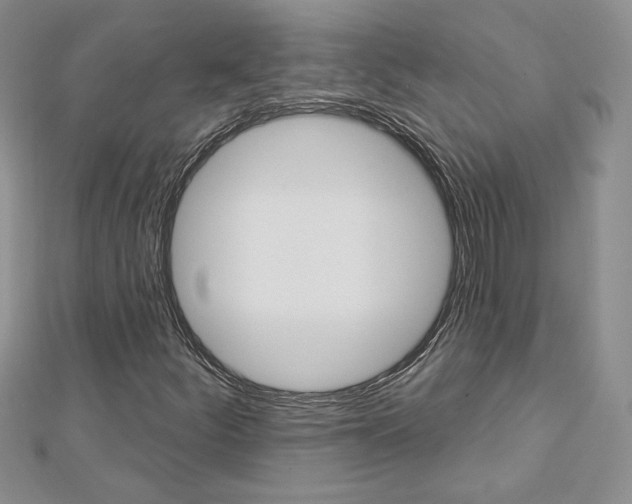 X0000113061252200908280939
