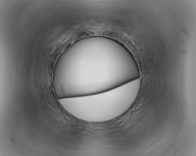 X0000113061253200908280939