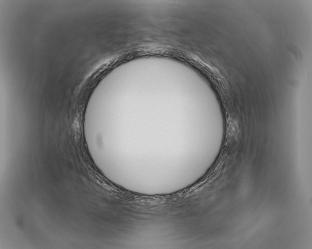 X0000113061254200908280939