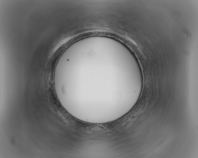 X0000113061255200908280939