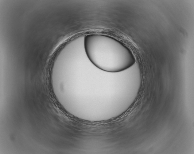 X0000113061256200908280939