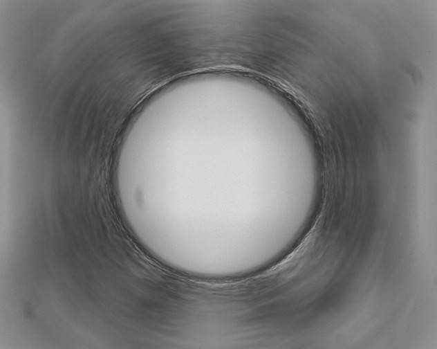 X0000113061257200908280939