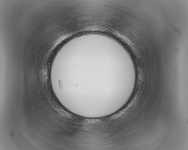 X0000113061258200908280939