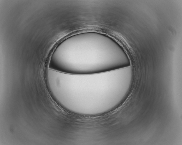 X0000113061260200908280939