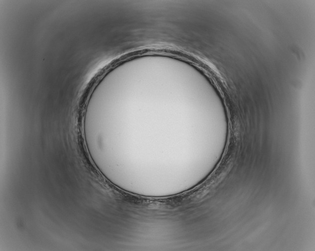 X0000113061263200908280939