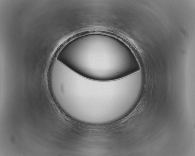 X0000113061264200908280939